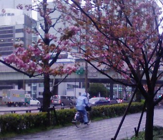 100412-152609