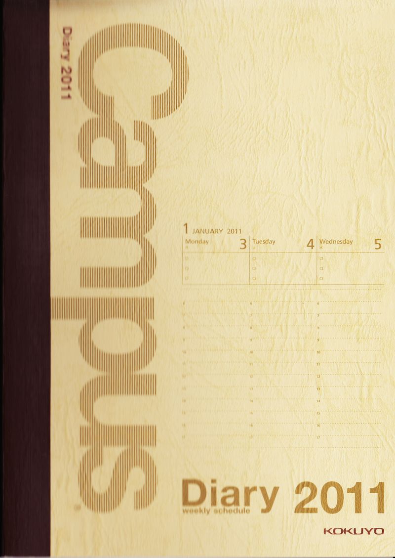 Diary2011